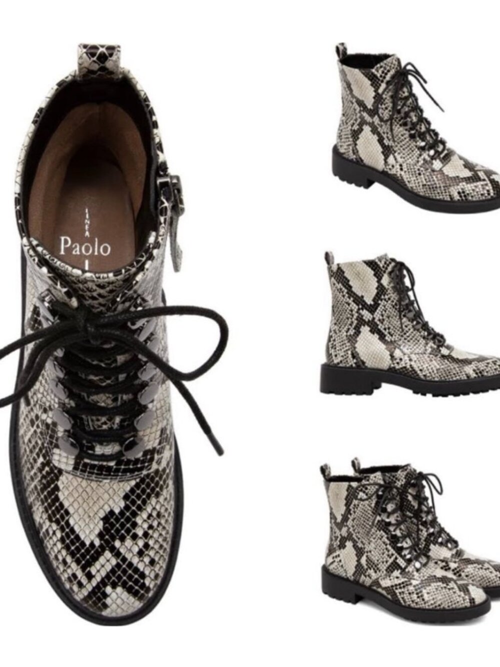 Linea Paolo Snake Print Combat Boots – Size 6 – NWB